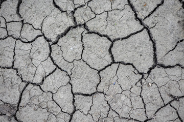 Abstract texture. Dry soil with cracks.