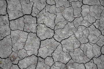 Abstract texture. Dry soil with cracks.
