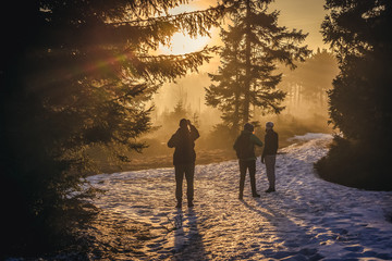 Tourists on a hiking trail near the top of Wielka Sowa mountain in Owl Mountains Landscape Park, Poland - obrazy, fototapety, plakaty