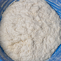 Fresh yeast dough in a big blue bowl