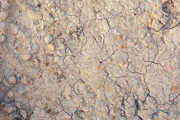 
Dry ground as background. The concept of thirst, dehydration.