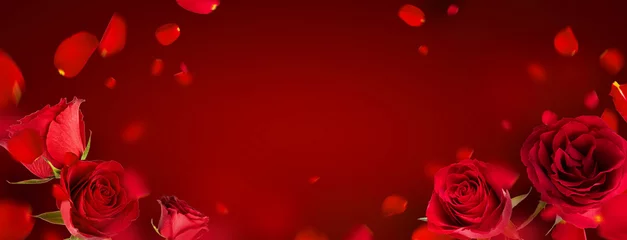 Gartenposter Fliegende Blütenblätter und rote Rosen auf rotem Hintergrund mit Kopienraum. Kreatives Blumenschweben im Luftnaturplan. Frühlingsblütenkonzept für Hochzeit, Frauen, Mutter, 8. März, Valentinstag © PINKASEVICH