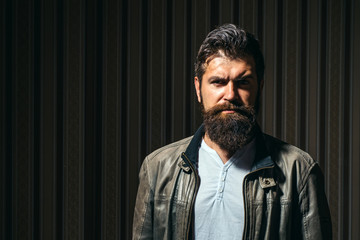 Fototapeta premium Man on vintage interior. Portrait of stylish man beard. Sexy male, macho, long beard.