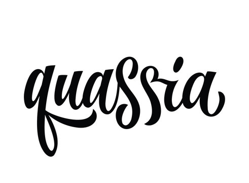 Hand drawn spice label - Quassia. Vector lettering design element. Isolated calligraphy script style word for labels, shop design, cafe decore etc