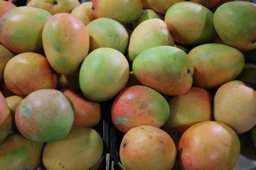 Many ripe mangoes in the market
