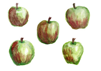 Set of five watercolor illustrations of apples isolated on a white background. Red-green apples fruits painted by paint, design element for autumn harvest, school, organic food or vitamins concept