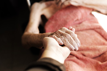 Close up of hands of aged woman. wrinkle skin. - 313154911