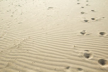 Sandy beach in Valencia, Spain