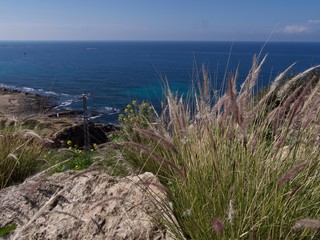 Blue reefs near Naharia city