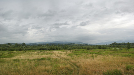 Mountains meadow landscape