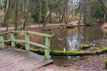 Fototapeta na wymiar A wooden bridge and a small lake inside a forest park on the island of Seurasaari in Helsinki in Finland on a cloudy autumn evening.