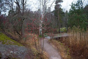 A wooden bridge and a small lake inside a forest park on the island of Seurasaari in Helsinki in Finland on a cloudy autumn evening.