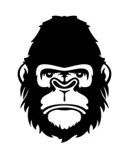 Face of gorilla isolated on white. Vector concept illustration