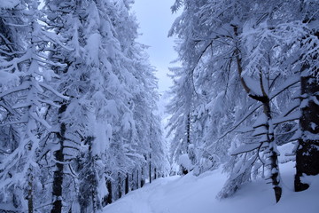 Zima w Tatrach, śnieg i zaspy na szlakach w TPN 