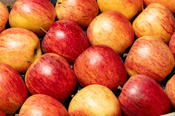 Apples. Background of red-yellow juicy apples.