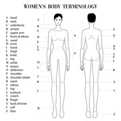 Womens body terminology.