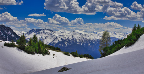 Zelle am See - Landschaftspanorama - Berge, Bäume, Schnee