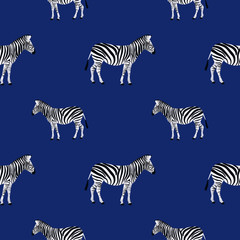Fototapeta na wymiar Zebra seamless pattern. Animal texture. Jungle exotic background. African Textile print design