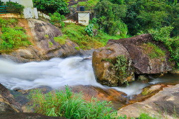 NATURE IN INDIA