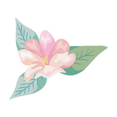 cute flower with leafs natural isolated icon