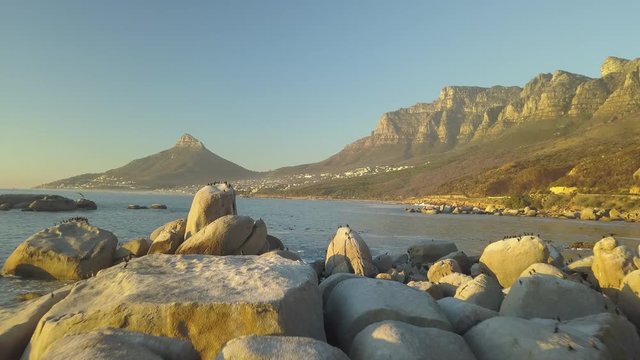 Low altitude drone flight aerial wide shot of massive Eocene primeval coastal sandstone rock formations. Table Mountain National Park Lion&rsquo;s Head in background. Petrel seabird colony in golden sunset.