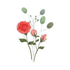 cute rose with branches and leafs isolated icon