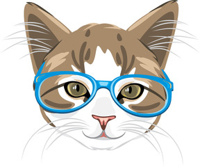 Cute kitten in blue glasses