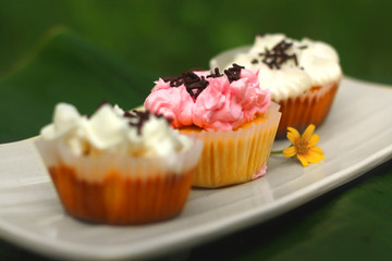 Tasty yummy homemade cupcakes on a square plate