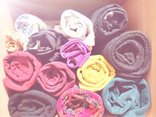 pink roses on white background