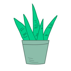 Lovely drawing of a home flower in a pot. Growing indoor plants. Illustration in doodle style.