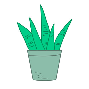 Lovely Drawing Of A Home Flower In A Pot. Growing Indoor Plants. Illustration In Doodle Style.