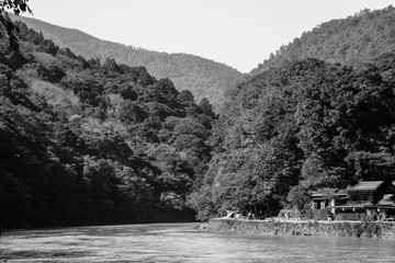 japon bosque