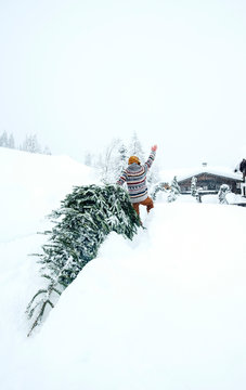 Man Coming Home, Waving And Pulling Christmas Tree In The Snow