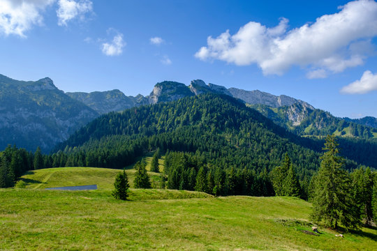 Scenic view of forested Benediktenwand ridge