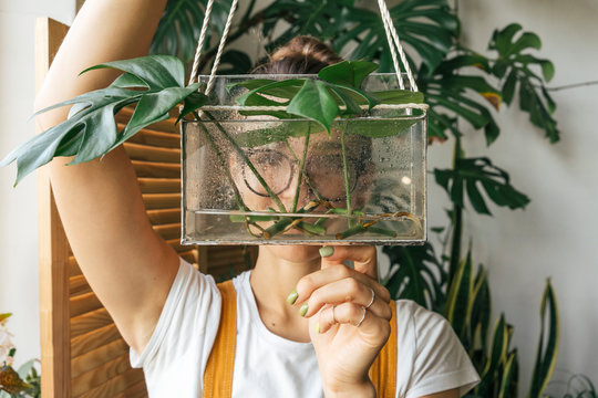 Young Woman Holding Plant In A Box With Water