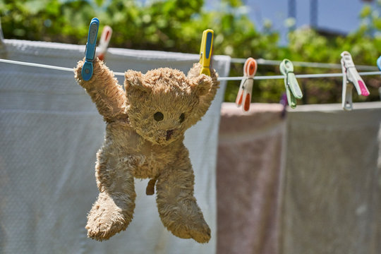 Teddy bear hanging on a clothesline