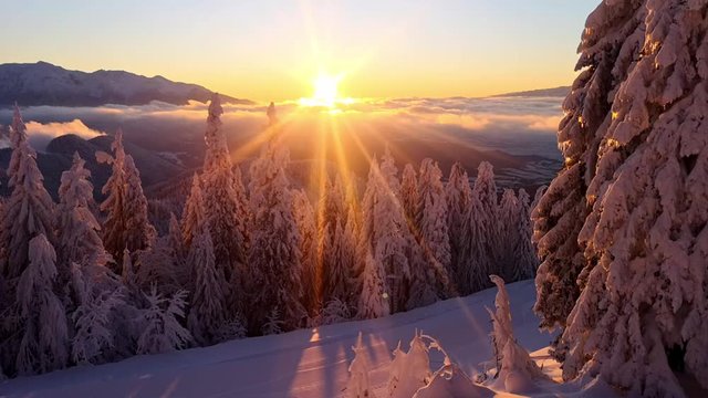Time lapse with sunset over a mountain landscape in winter season. Pine forest covered in snow after fresh snowfall.  
