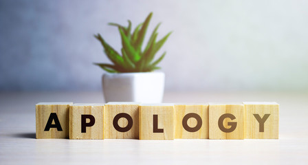 apology - word from wooden blocks with letters, sorry concept, random letters around, white background. - obrazy, fototapety, plakaty