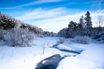 Fototapeta na wymiar Stream running through a snow covered Wisconsin forest with snow covering the trees in January and a blue sky