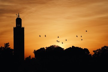 Silhouettes d'oiseaux et minaret au coucher du soleil, Marrakech