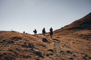 Horses and Horsemen on Mountain Peak in Fall