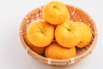 冬の味覚　柚子の実