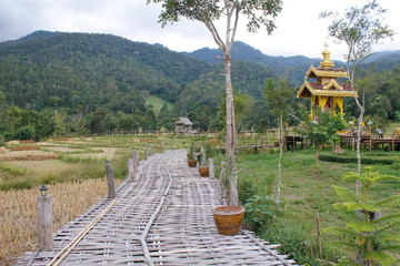 bamboobridge