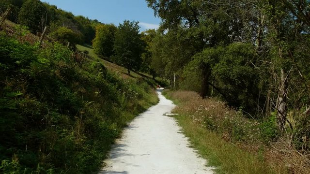 Beautiful green scenery of the Arundel Wetland Centre, located in the South Downs National Park, West Sussex, England, UK