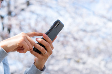 桜・スマートフォン