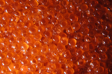 Red caviar. Abstract textured background for wallpaper.