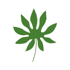leaf nature tropical isolated icon vector illustration design