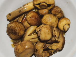 Boiled champignon mushrooms in white plate