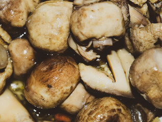 Boiled champignon mushrooms in white plate