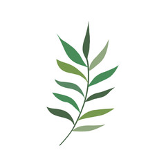 branch with leafs nature isolated icon vector illustration design
